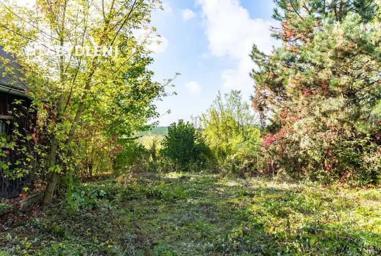 Pohled na pozemek