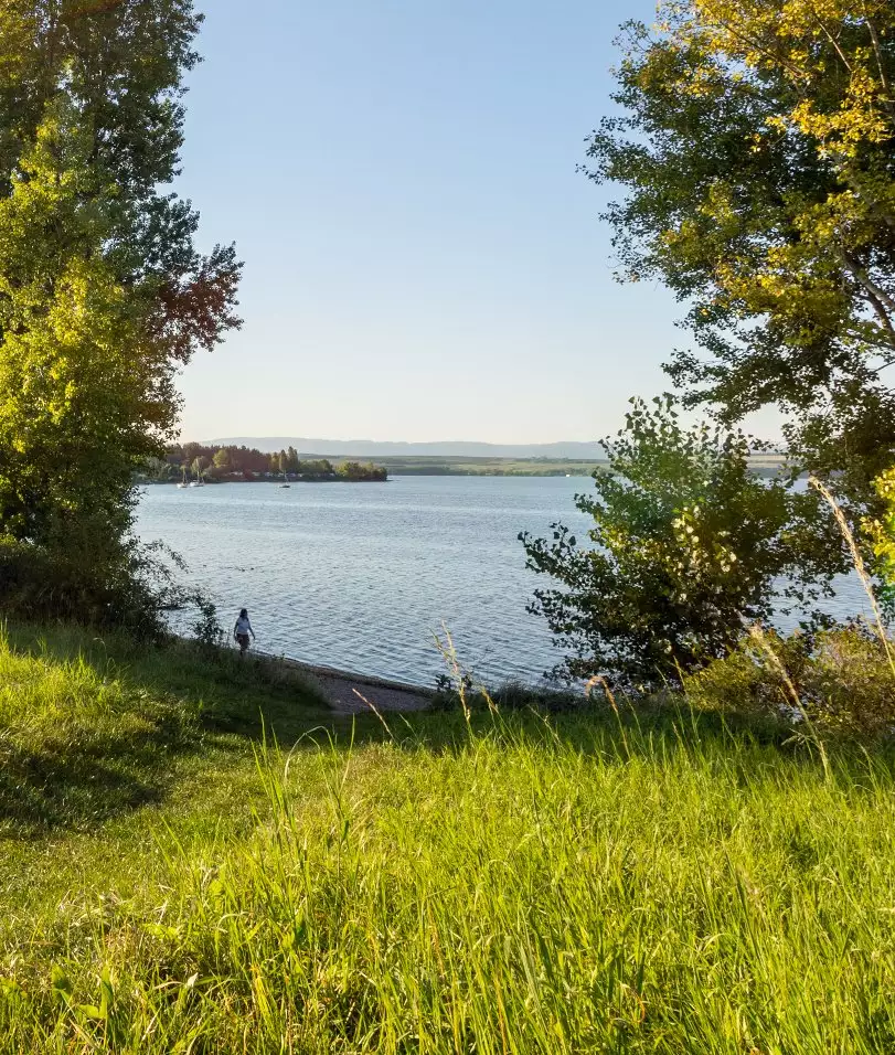 Main img 313