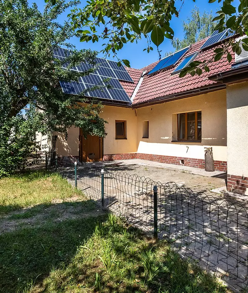 Main img 7041