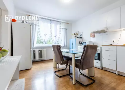 Byt 1+1, Karla Čapka, Krupka