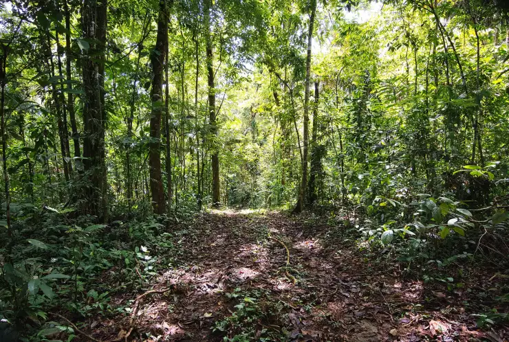 Vnitřní rozdělení hranice pozemku