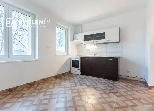 Byt 2+1, Bílinská, Teplice