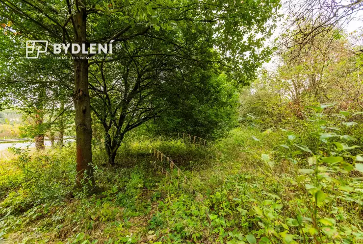 Na pozemku se nachází několik vzrostlých stromů
