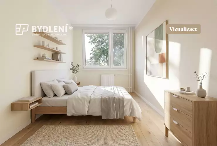 Vizualizace