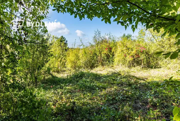 Pohled na pozemek