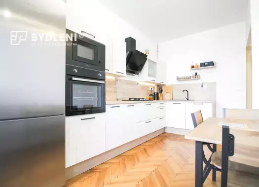 Byt 4+1, U Zámku, Teplice