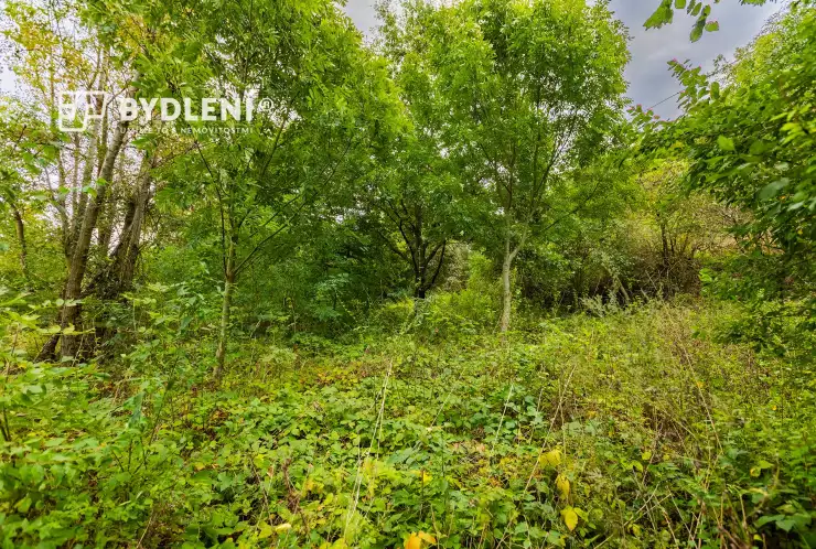 Na pozemku se nachází několik vzrostlých stromů