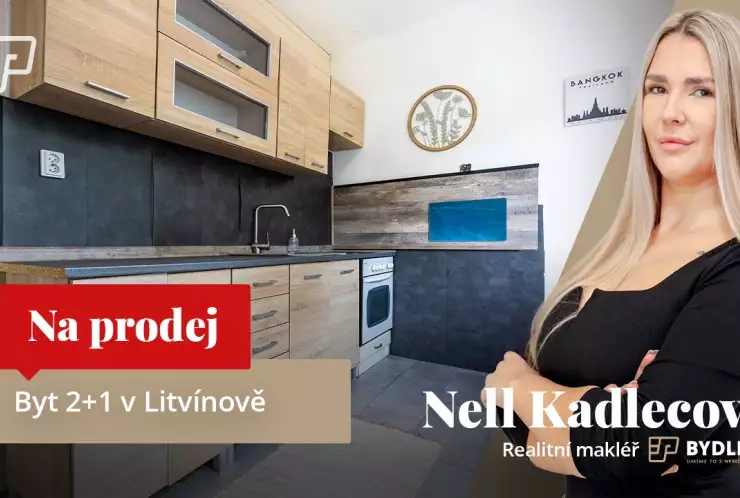 Byt 2+1, Podkrušnohorská, Litvínov