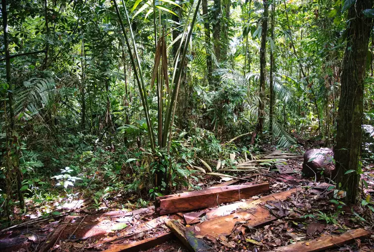 Pozemek je možné oplotit vlastním dřevem