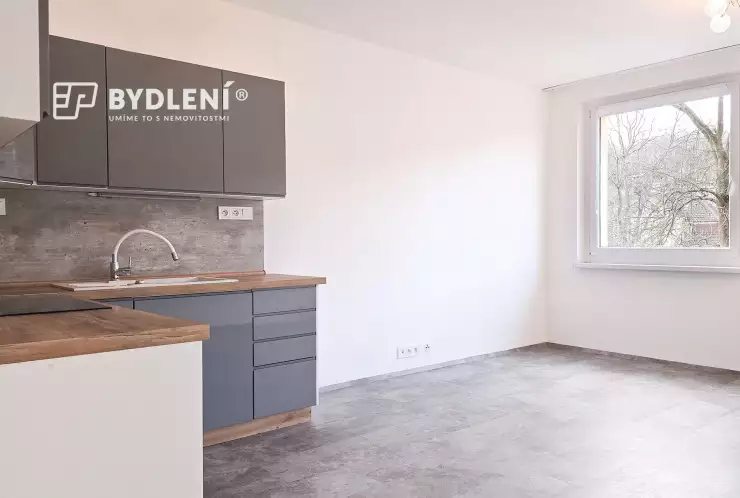 kuchyňský kout s obývacím pokojem