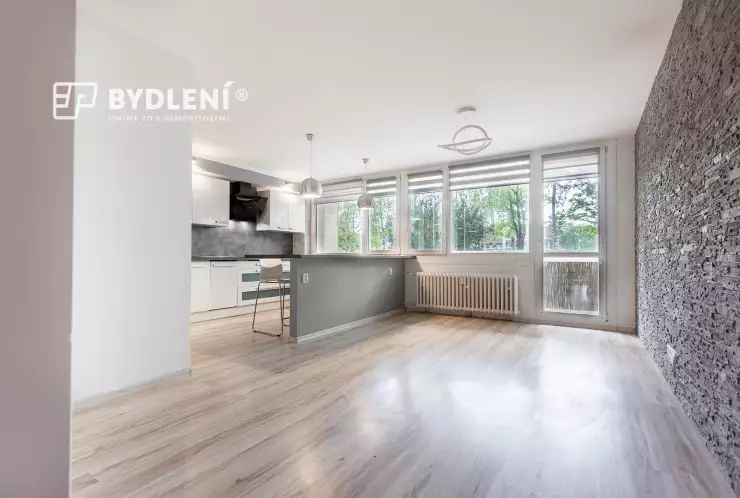 obývací pokoj s kuchyňským koutem