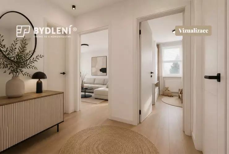 Vizualizace