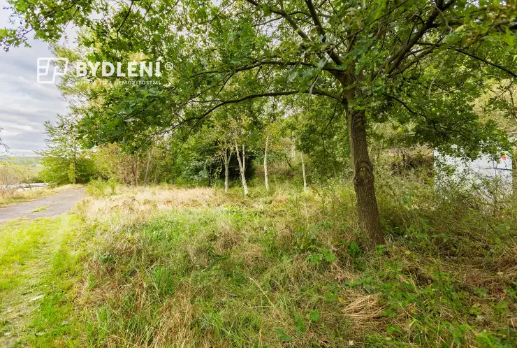 Na pozemku se nachází několik vzrostlých stromů