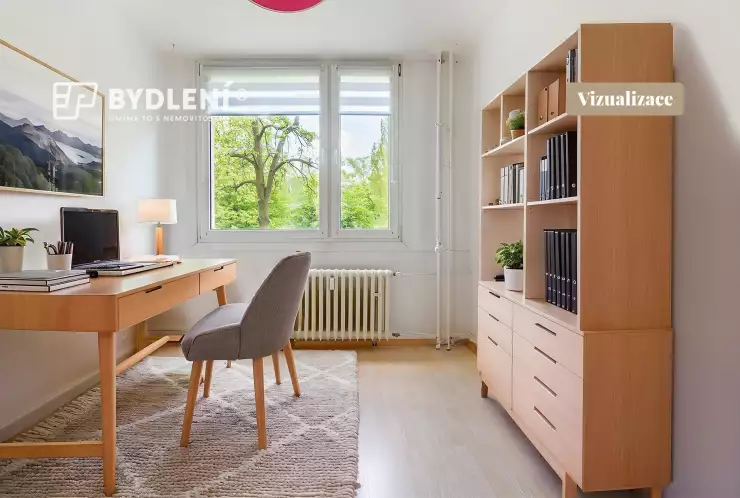 vizualizace - pracovna