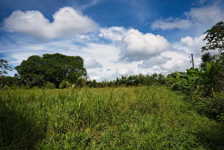 Rovinatá část pozemku s přístupem k veřejné komunikaci