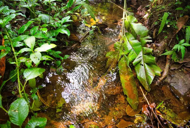 Možný zdroj vody pro pozemek