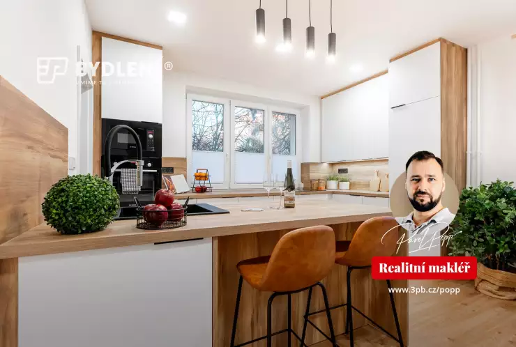 Byt 3+kk, Buzulucká, Teplice