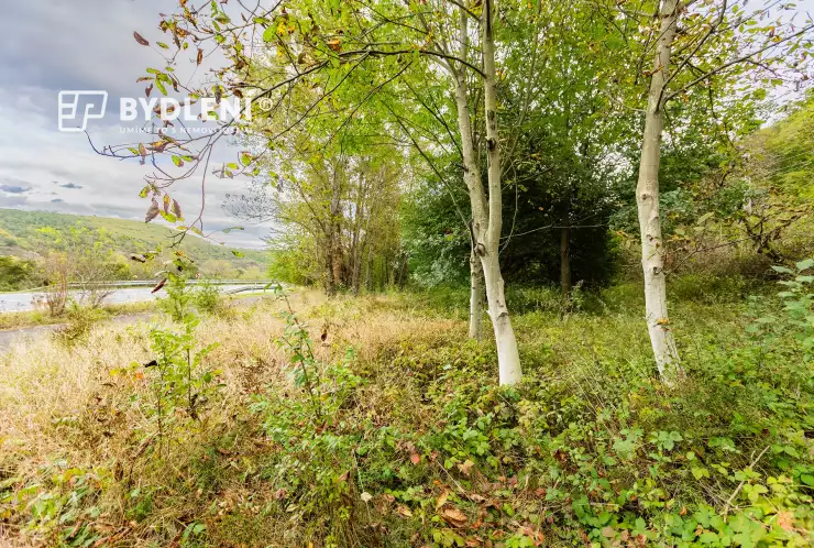 Pohled směrem k řece