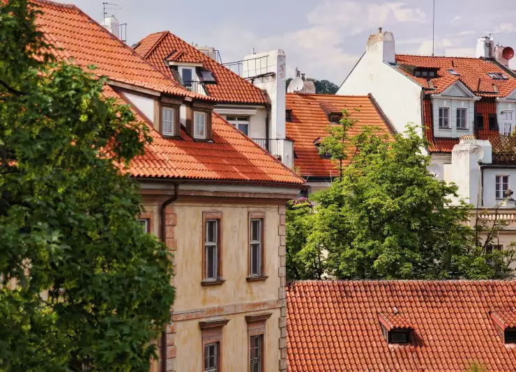 Co jsou to černé stavby?